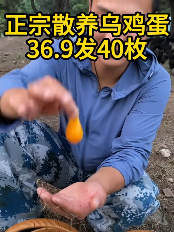 正宗绿壳土乌鸡蛋