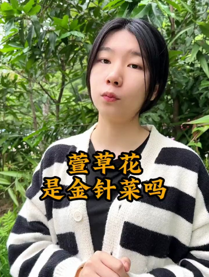 萱草花和黄花菜,有什么区别?这可是国人的“母亲花”!