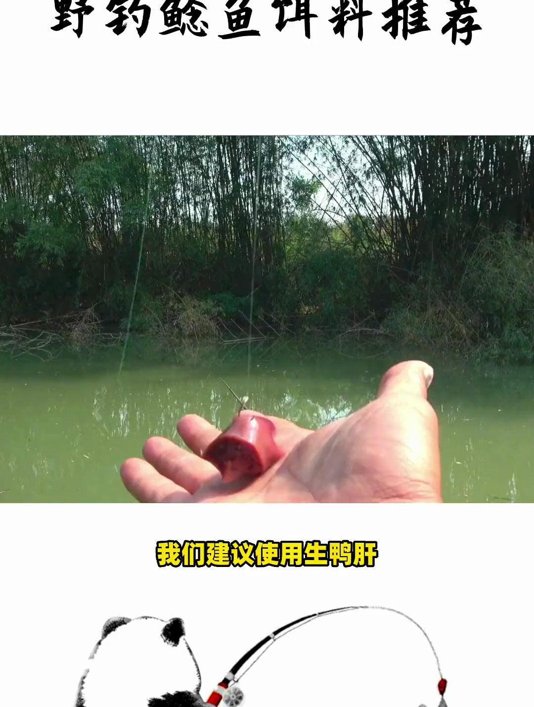 新手钓鲶鱼饵料推荐,野钓鲶鱼