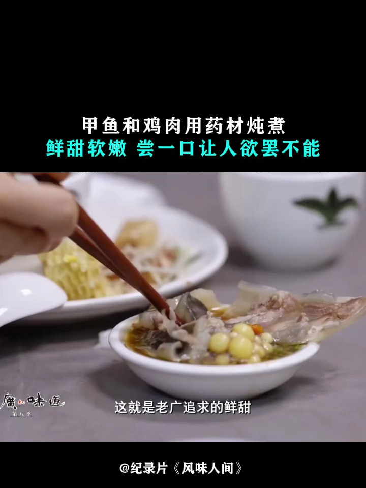 风味人间:甲鱼和鸡肉用药材炖煮,鲜甜软嫩,尝一口让人欲罢不能