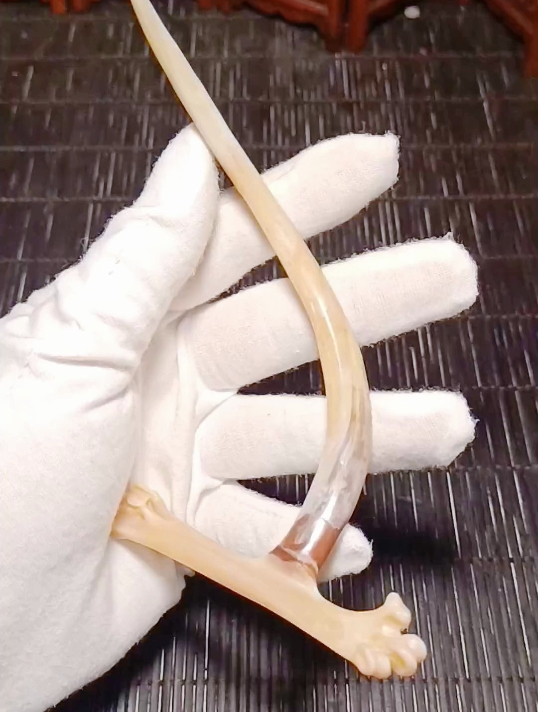 文玩鸡爪骨,十五厘米长的文玩鸡蹬子,您看能值多少钱?