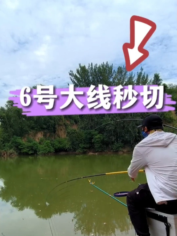 鲢鱼到底有多大6号主线拉不下,可惜不?库钓鲢鳙 钓鱼 切线