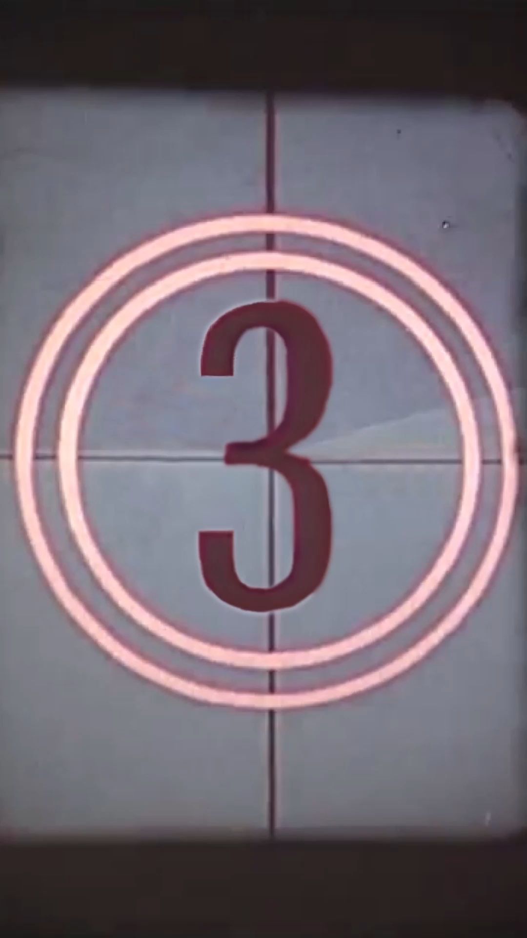 你以为的小肥猫,实际可能是稀有毛色英短哦