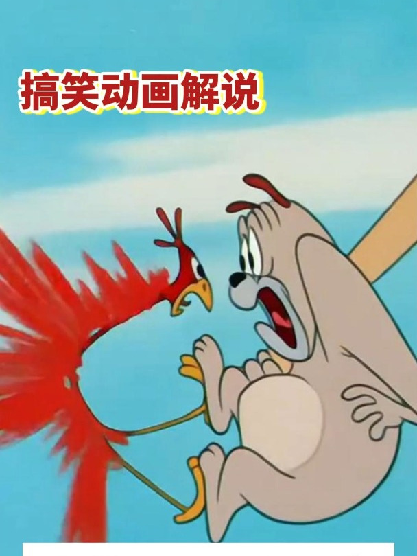 趣讲漫画,大狗与公鸡,一对活冤家