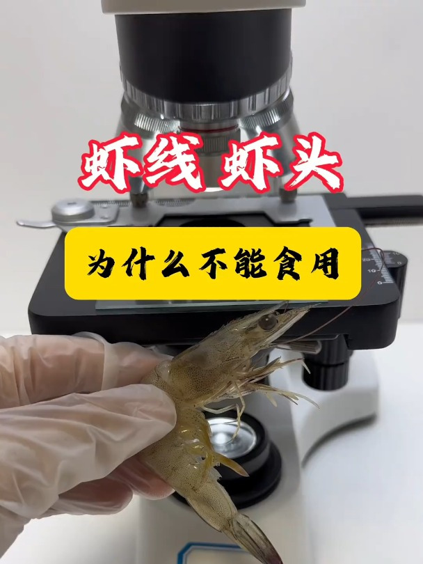 为什么虾线虾头不建议食用,老铁们你们知道吗?
