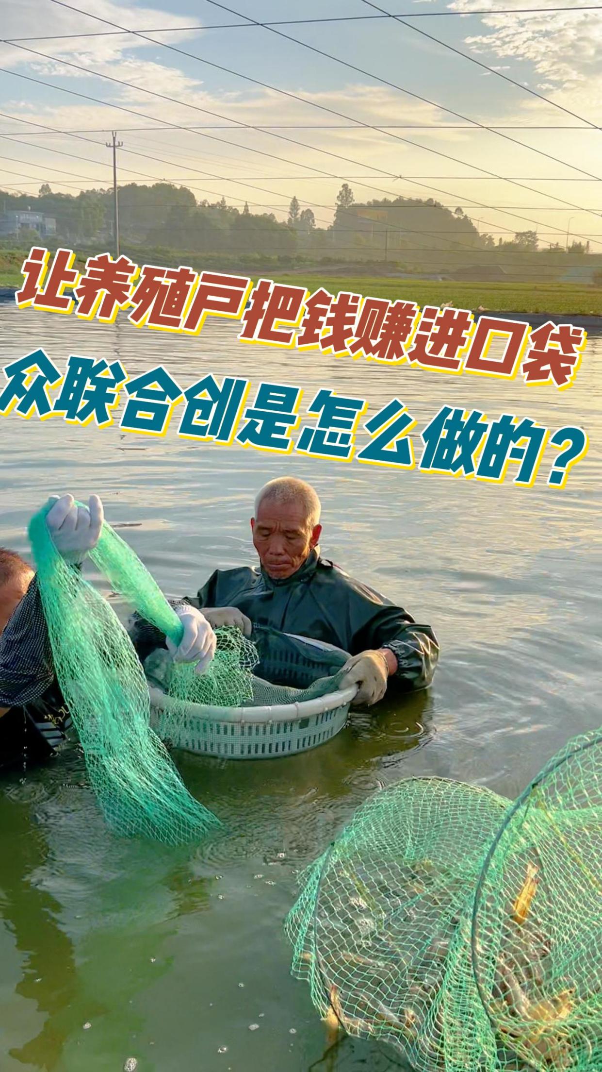 让养殖户把钱赚进口袋,众联合创是怎么做的