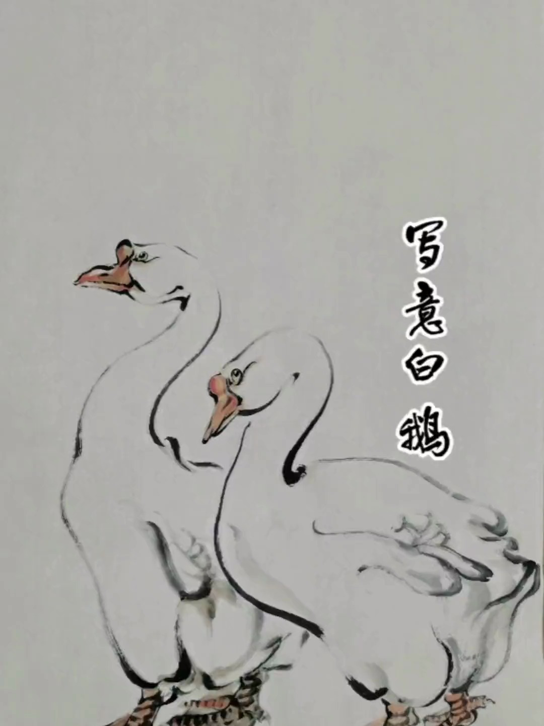 写意白鹅,别看这俩呆头呆脑的,据说用看家比狗还好使