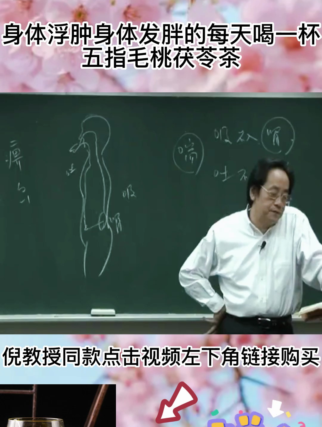 倪教授:五指毛桃茯苓茶具有健脾、补肺、止泻的功效