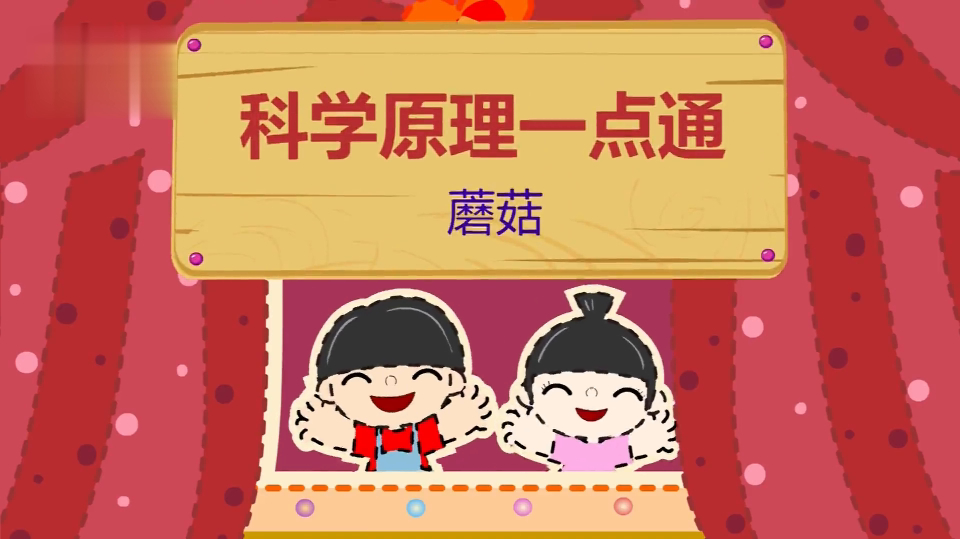 「科普」蘑菇 是怎么生长起来的?