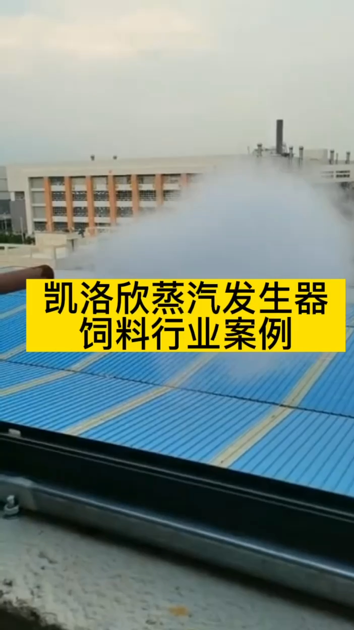 凯洛欣3吨蒸汽发生器饲料厂蒸汽锅炉