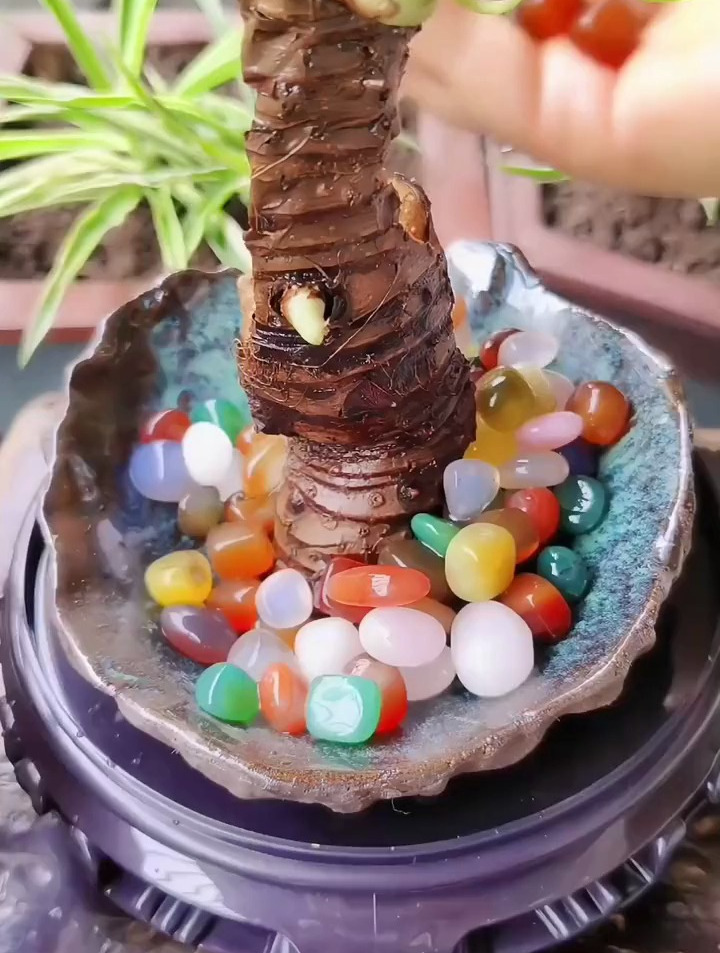 用雨花石做盆景和鱼缸装饰,做自己喜欢的事,看喜欢的风景