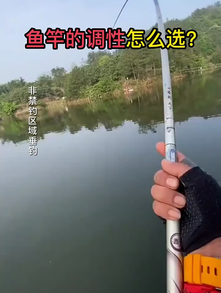 鱼竿的调性到底怎么选?