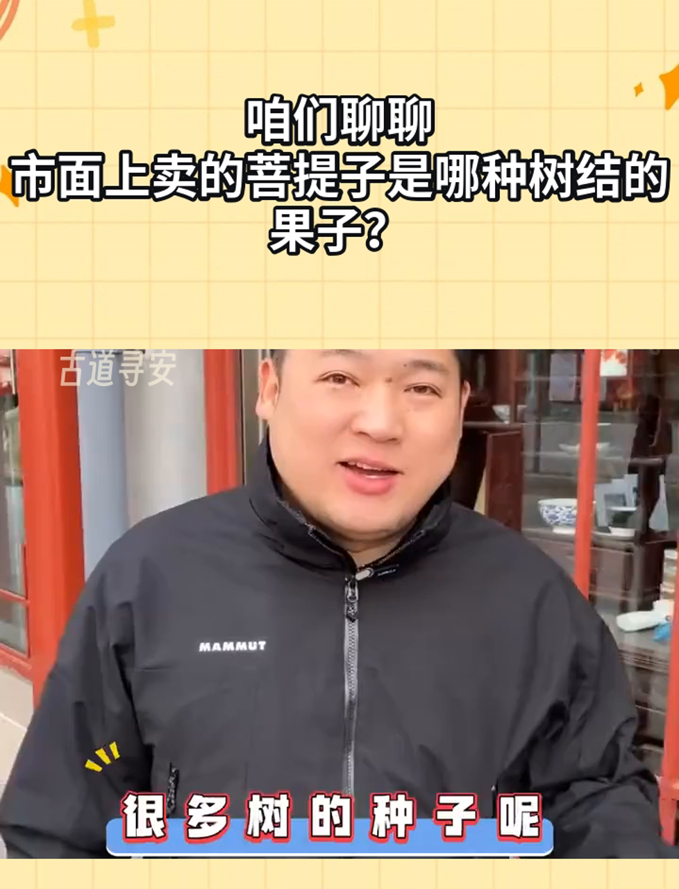 咱们聊聊,市面上卖的菩提子是哪种树结的果子?