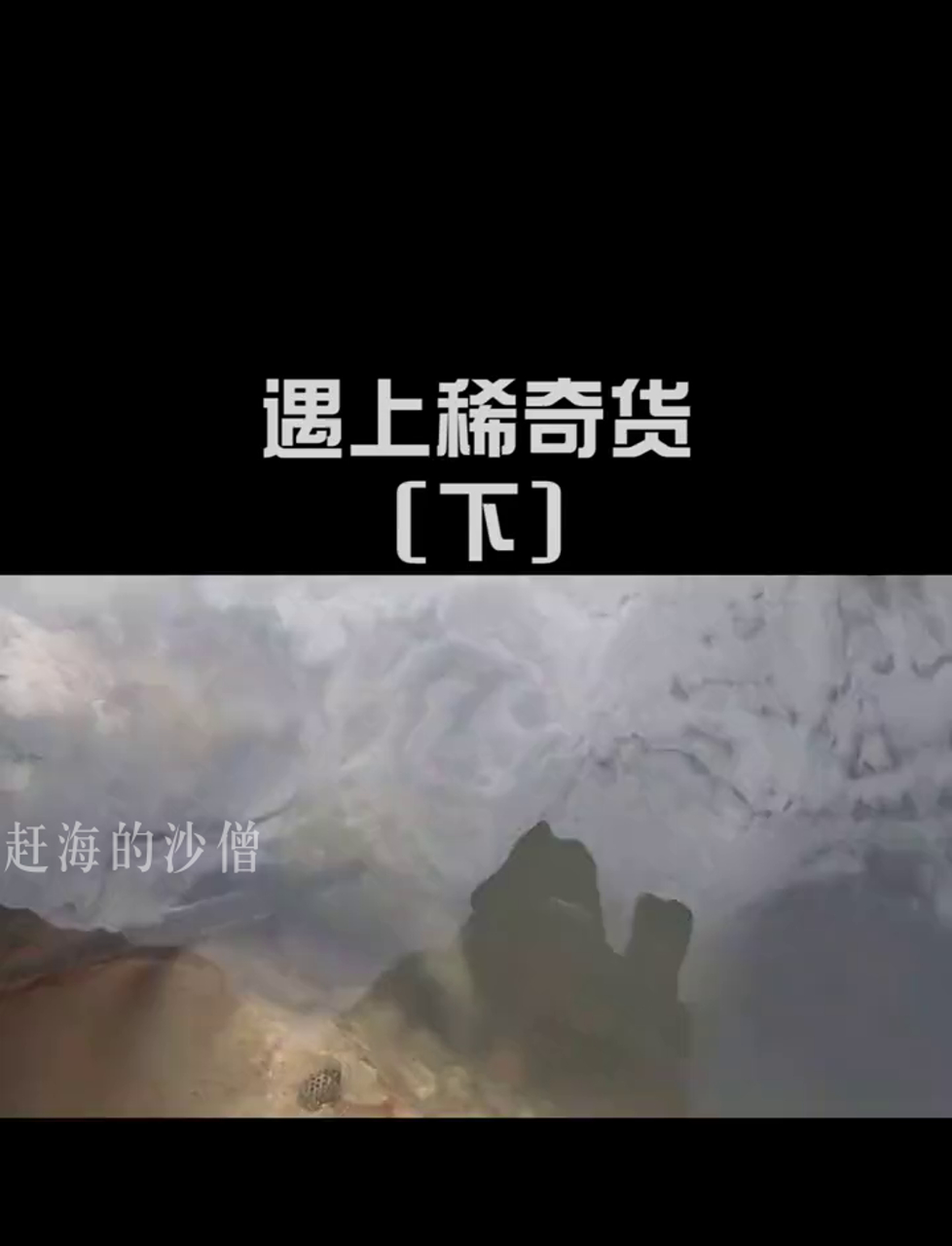 阿明海边寻宝意外发现个稀罕物,头上长角嘴里龅牙,太罕见了(下)