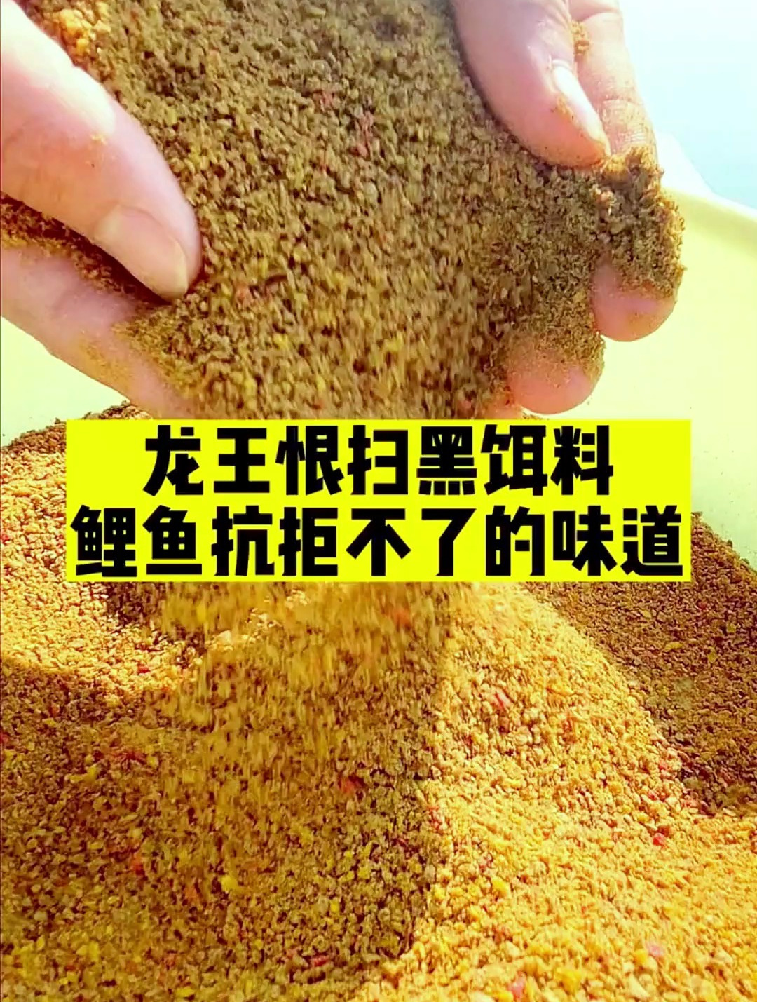 鲤鱼最爱吃的一款饵料,用一次爆护一次,钓一次鱼能吃半年
