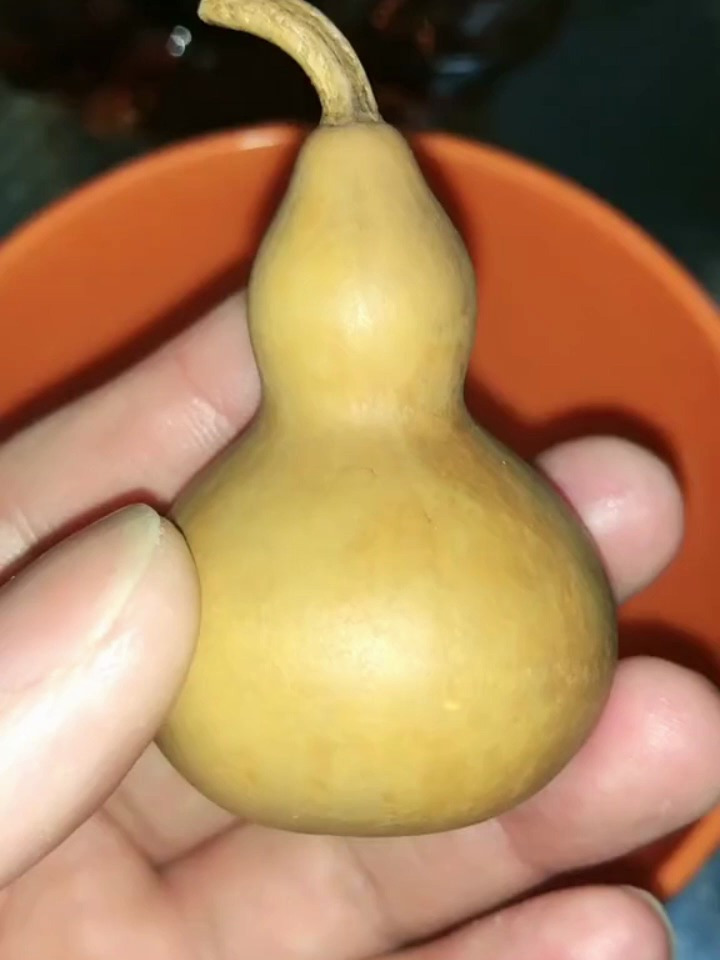 怎么样做旧文玩葫芦呢?