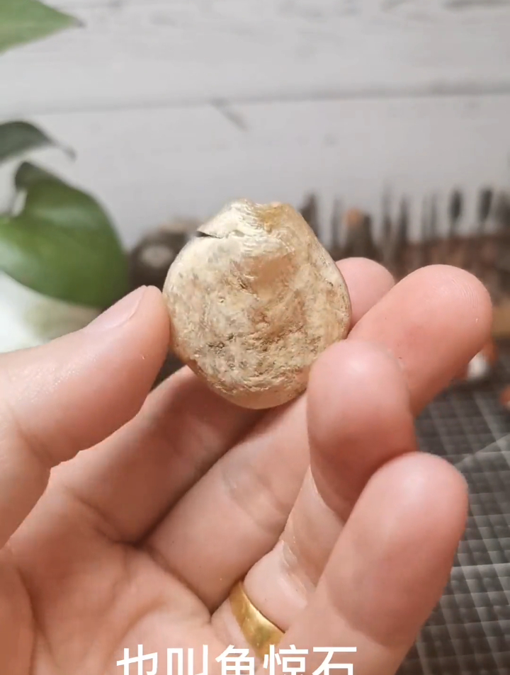 青鱼石加工 青鱼石吊坠,你们身边有佩戴青鱼石挂件的朋友吗