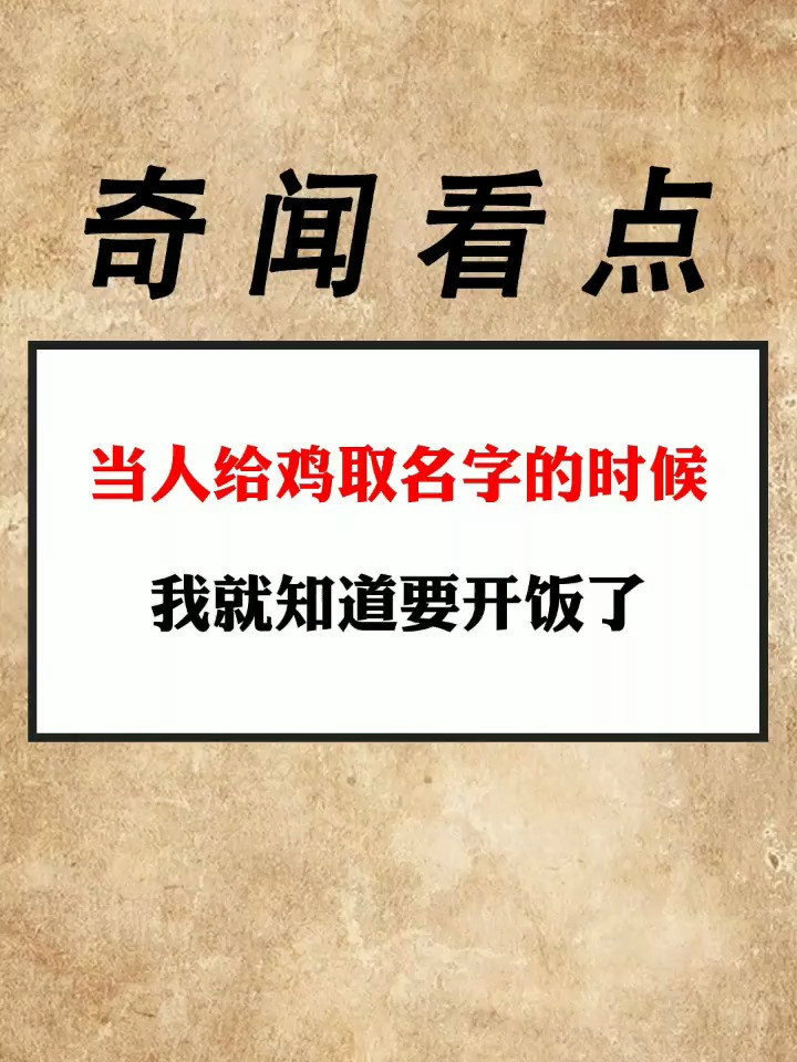 当人给鸡取名字的时候