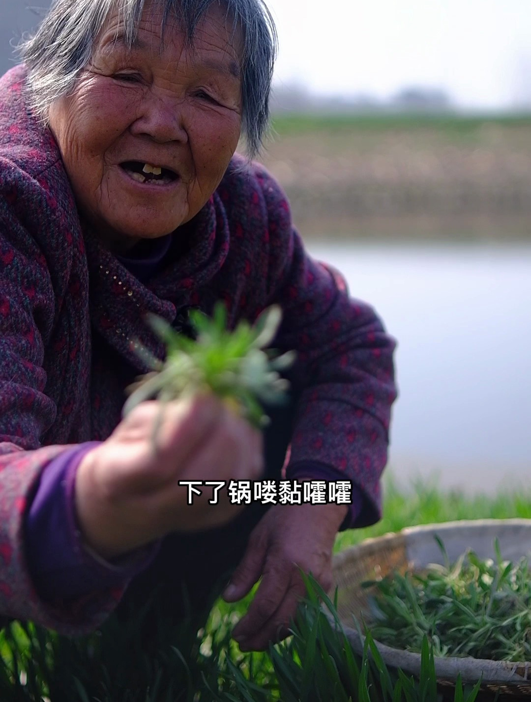 你一定没有见过,这不稀罕的野菜做成好吃的!