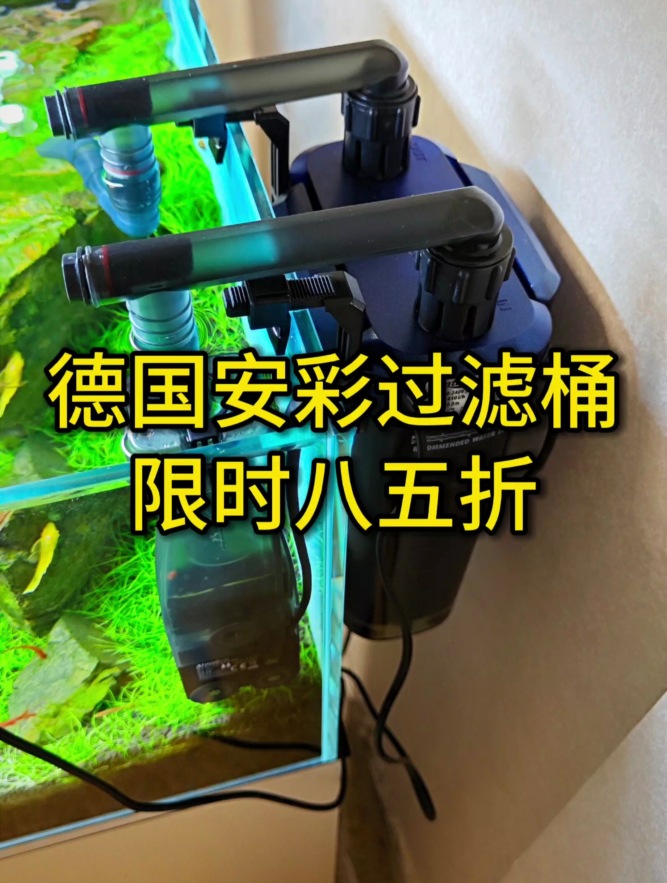 小鱼缸养鱼,就用德国安彩壁挂过滤桶,保持水质透亮好用!