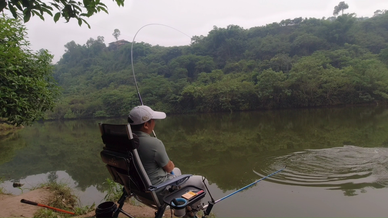 邓刚老师“盘”水库老板的羊，老钓友来“盘”他的鲢鳙饵料！
