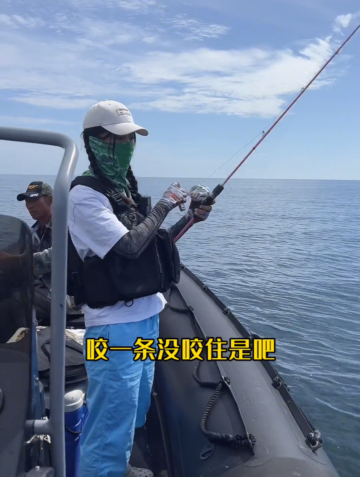 你们见过海里的黑鱼长什么样子吗