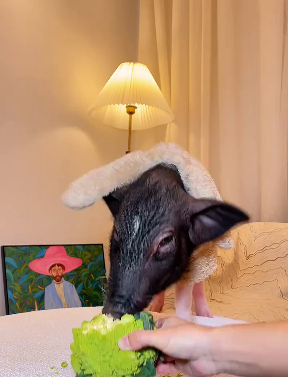 这宝塔菜花、宝塔花菜,名字听着真够奇葩的!