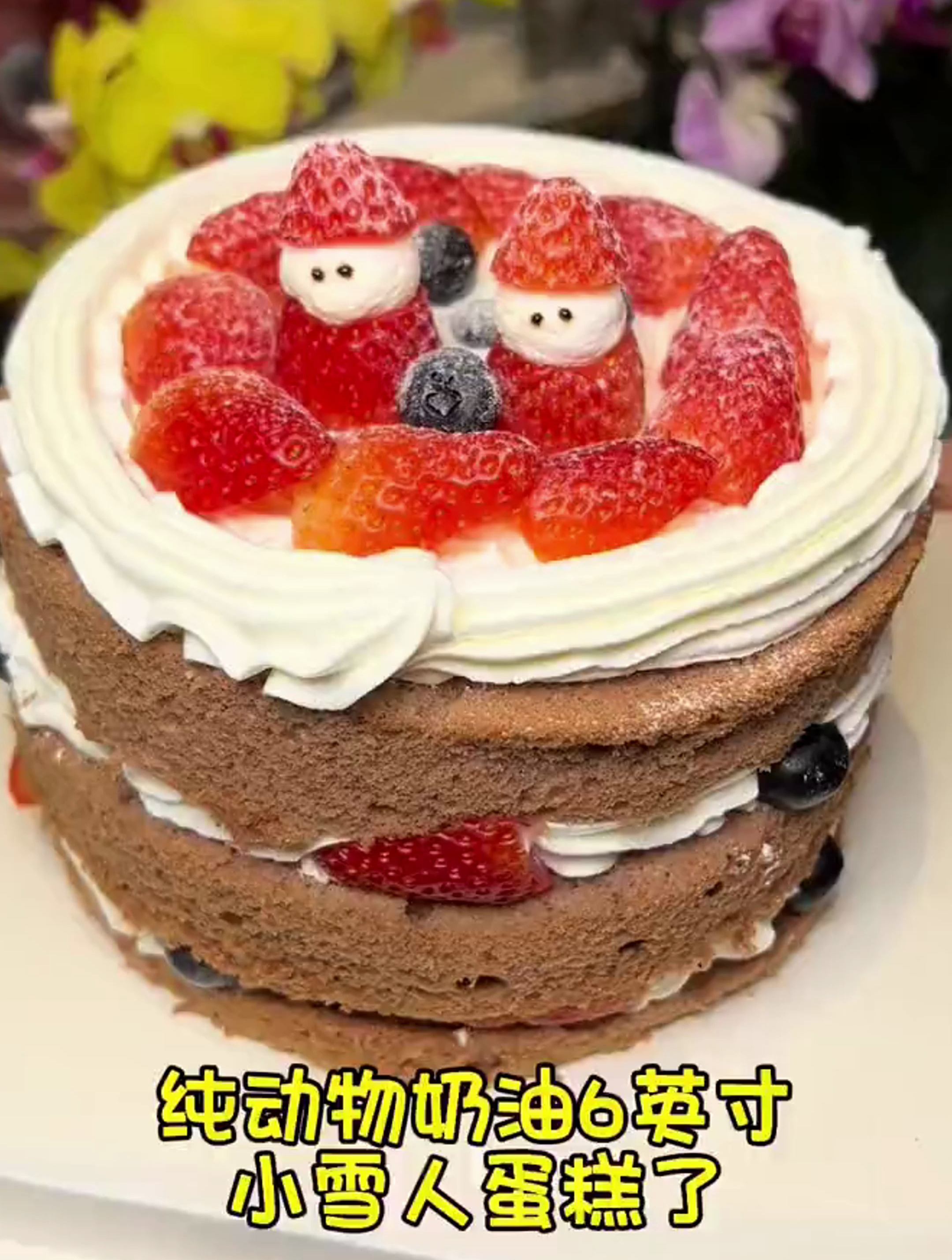 吃动物奶油草莓蛋糕