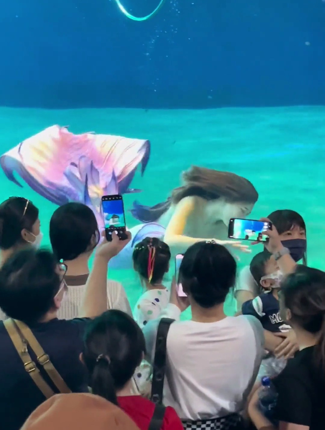 水族馆里的“美人鱼”,外表看似光鲜亮丽,背后不知付出多少努力