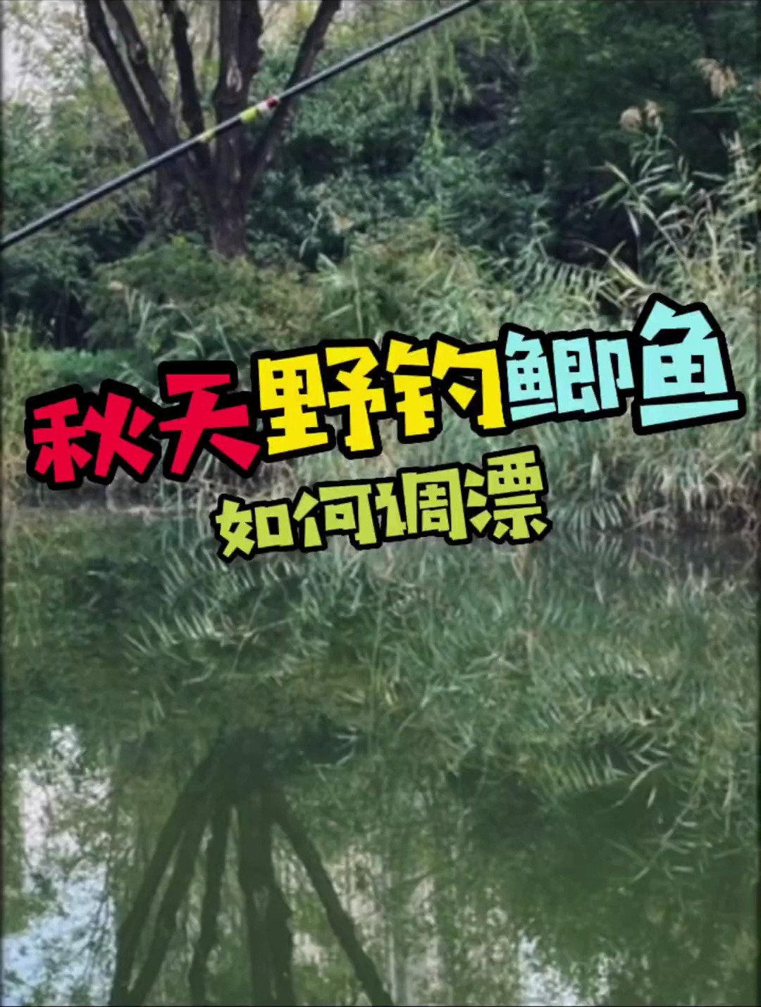 野钓小知识:今天教大家,秋天野钓鲫鱼的调漂方法!