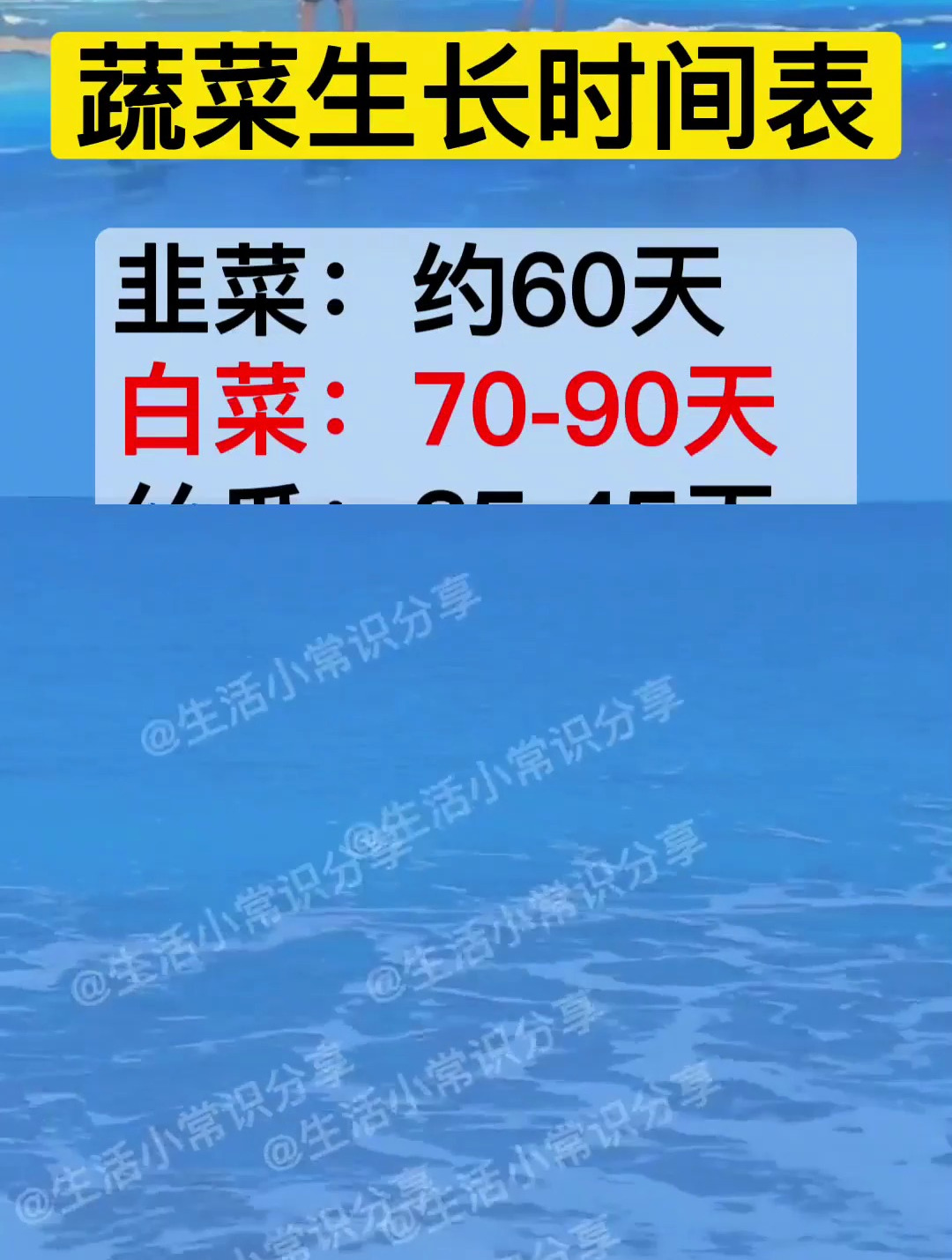 蔬菜生长时间表!
