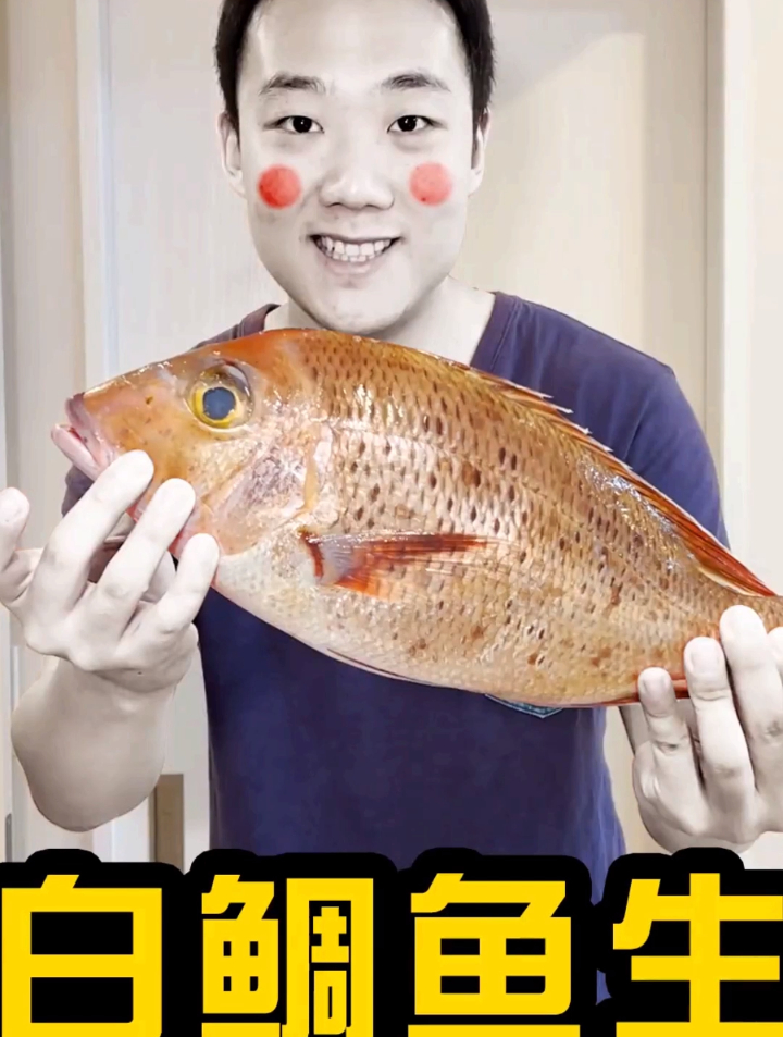 鱼生的方式吃白雕!太好吃了!