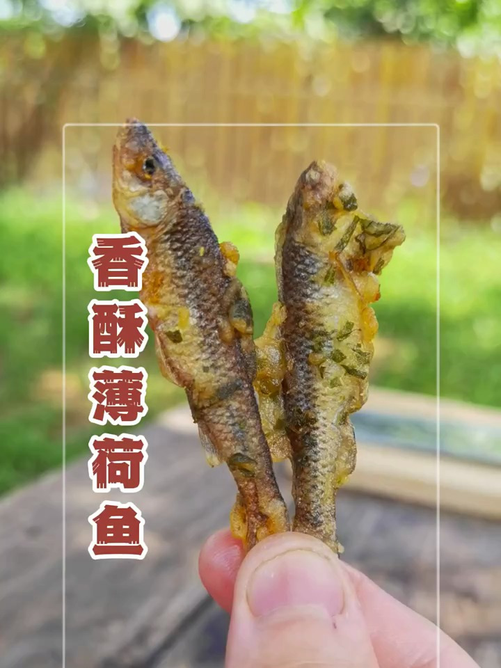 做大家做一道硬菜,香酥薄荷鱼