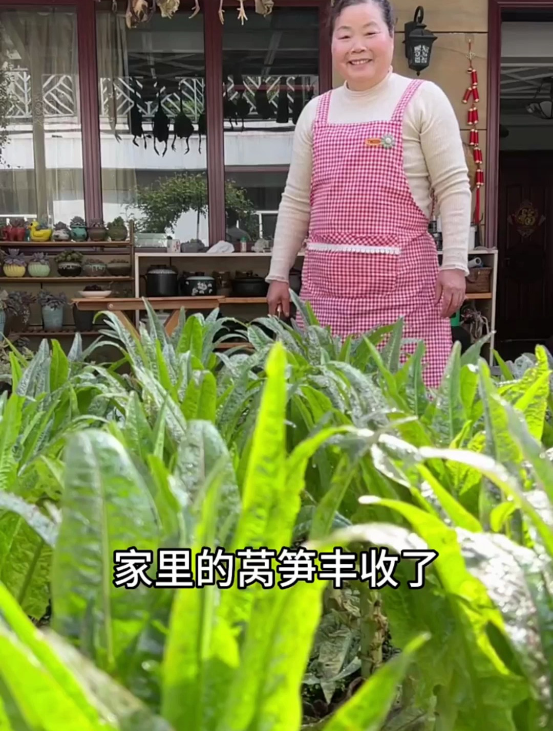 朋友们,家里的青菜杆太多了吃不完,做成臭菜杆和臭豆腐慢慢吃