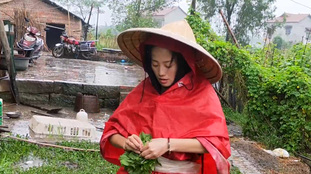 这种叶子煮鱼可以去腥味,在四川农村每家都有种,煮鱼全靠它