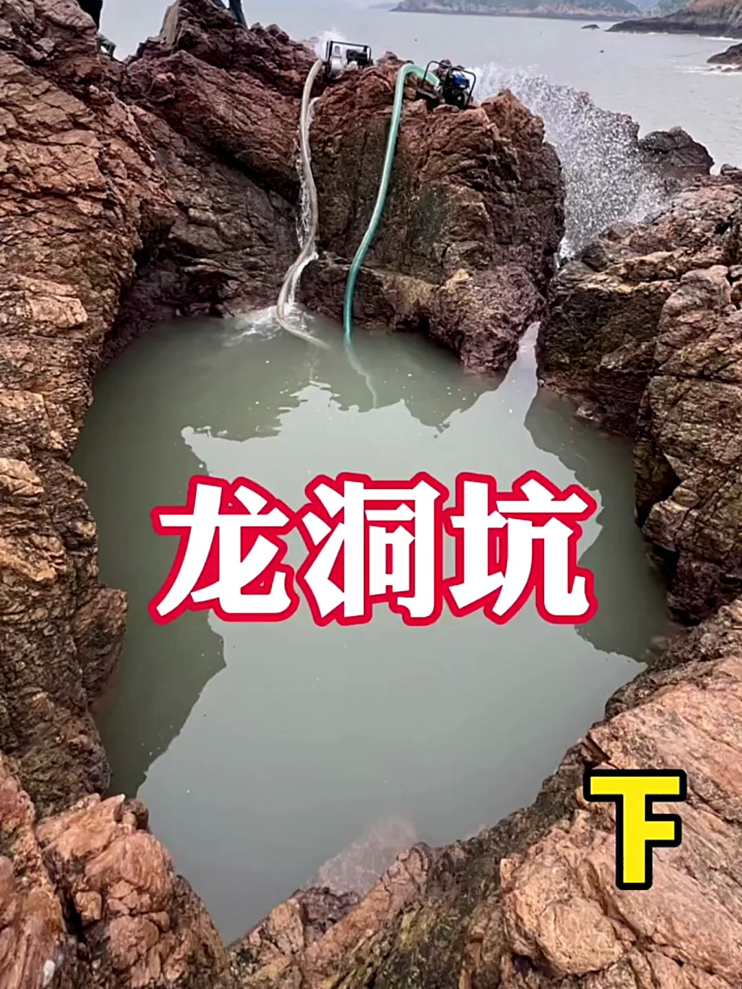 肥美鲍鱼打窝,引来罕见大龙舌鱼价值上千