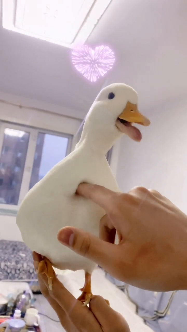 一戳就会笑的小汤圆你爱了没有