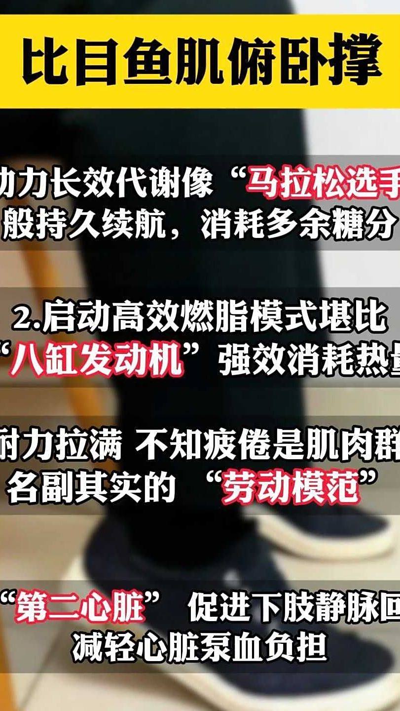 比目鱼肌俯卧撑