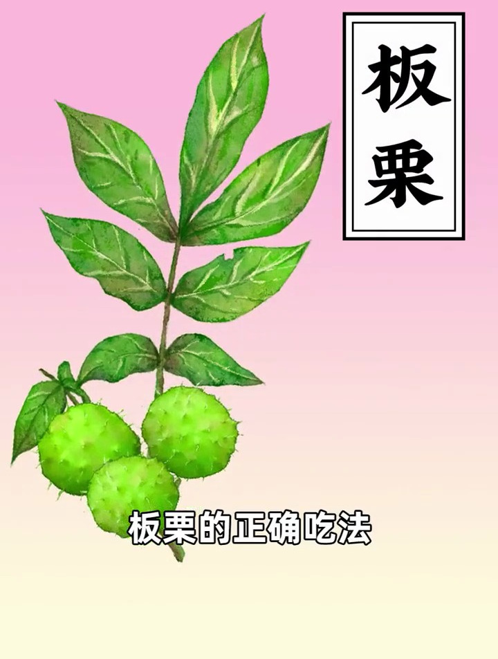 冬天续命美食里,怎能没有板栗的名字?但是板栗能这么吃你知道吗