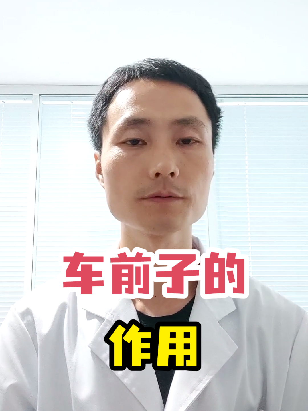 车前子的作用