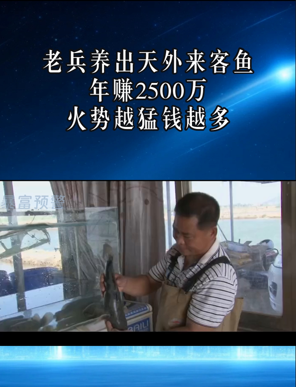 老兵养出天外来客鱼,年赚2500万,火势越猛钱越多