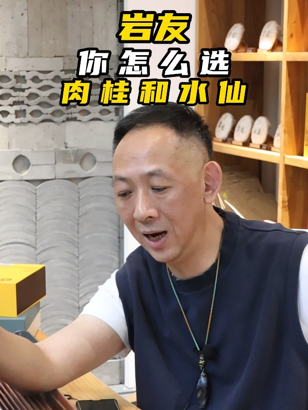 岩友肉桂和水仙你怎么选 岩茶 肉桂 水仙