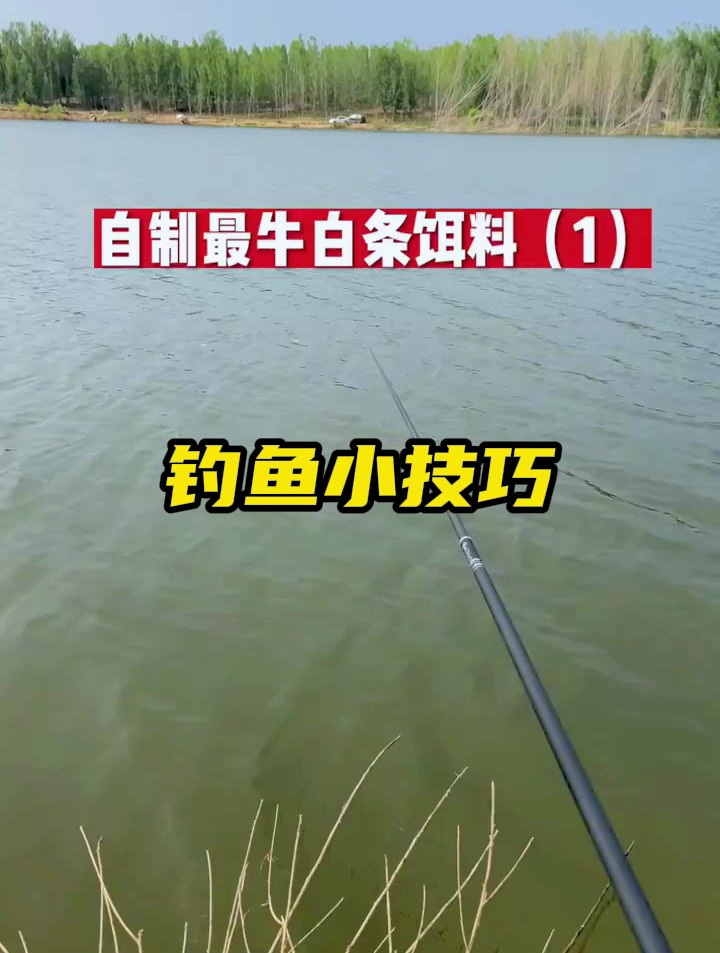 钓白条究竟应该用什么饵料?看看我这个自制的怎么样!