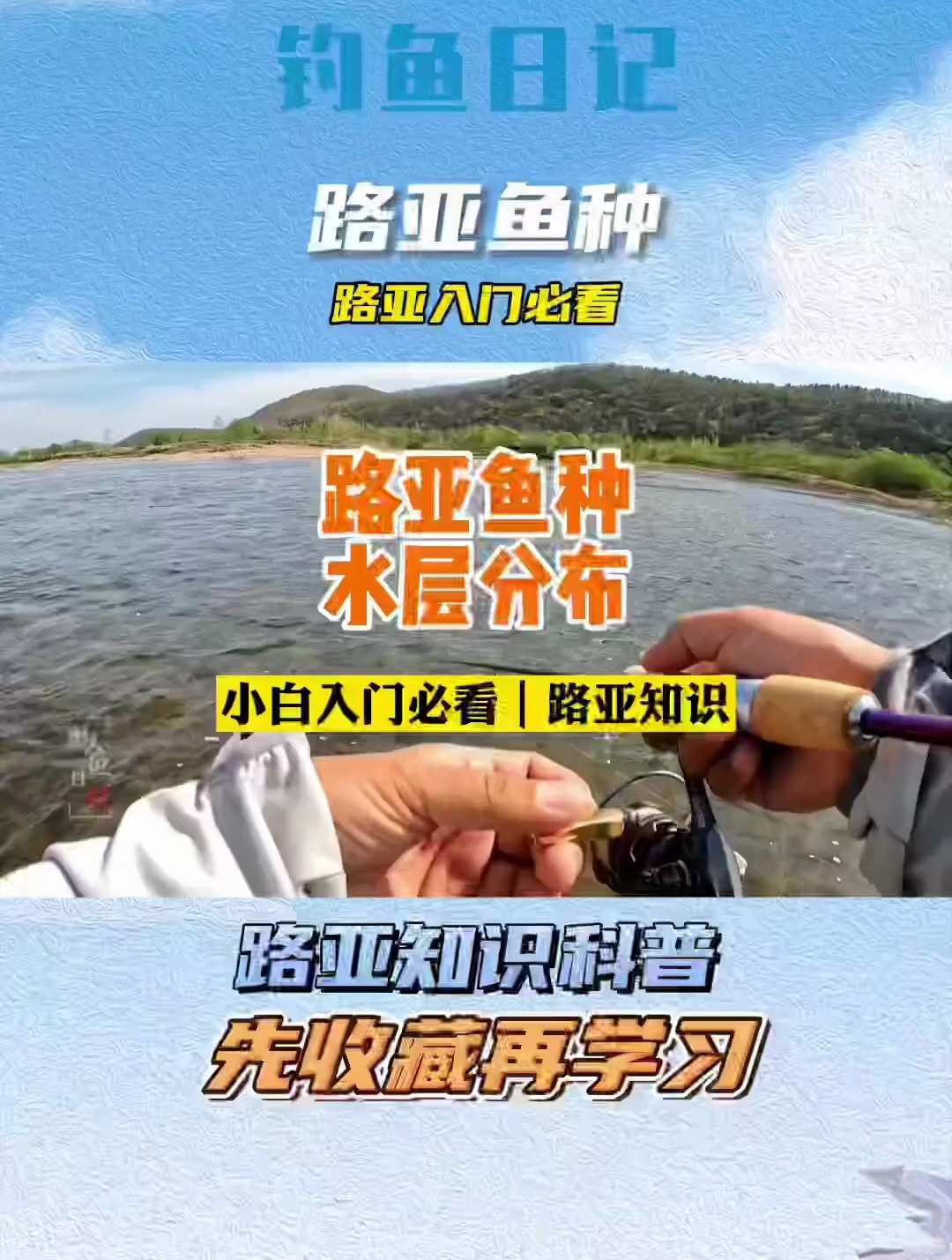 路亚鱼种水层分类