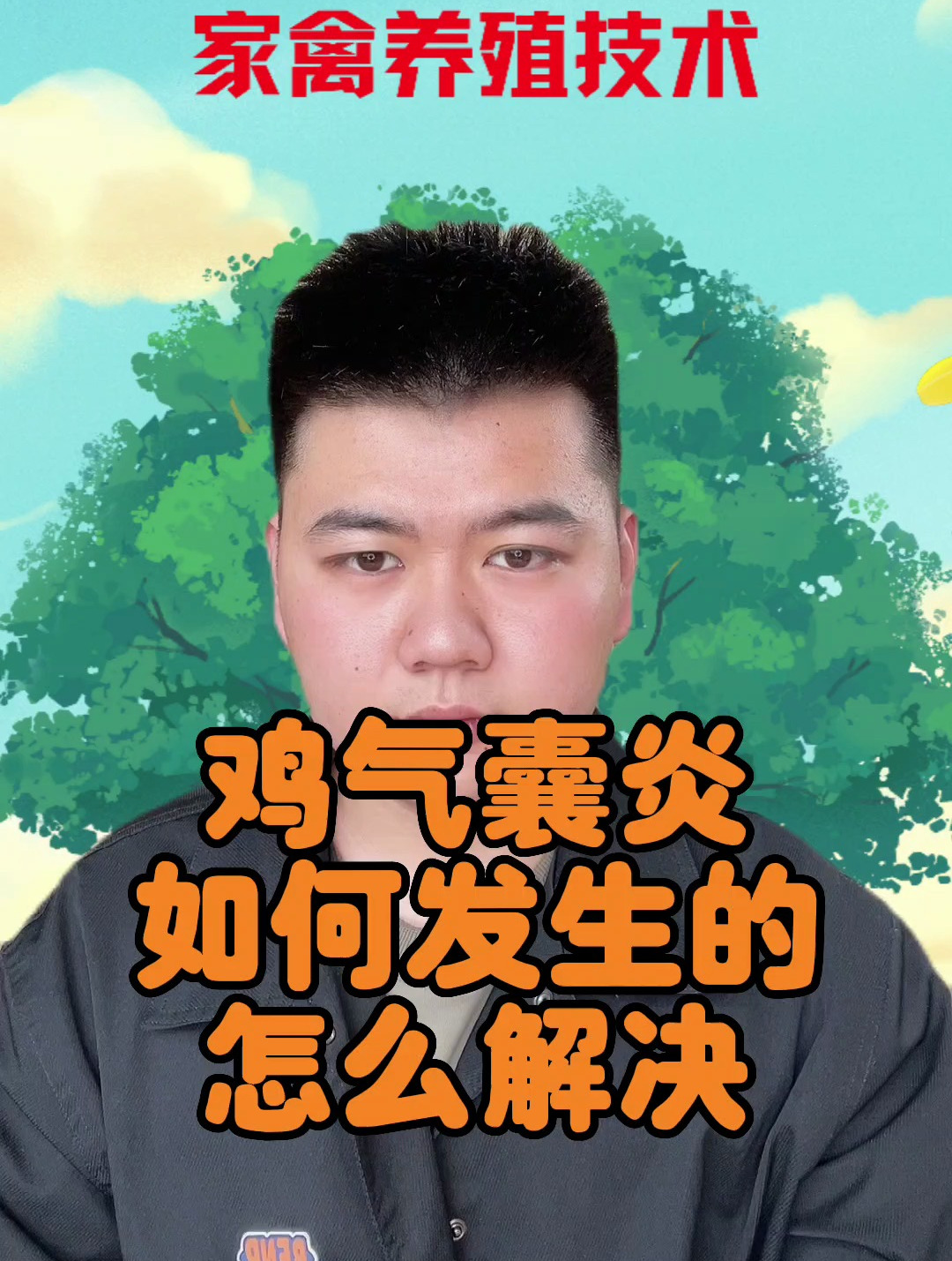 鸡气囊炎用什么效果好 小鸡气囊炎是怎么引起的 鸡气囊炎如何解决