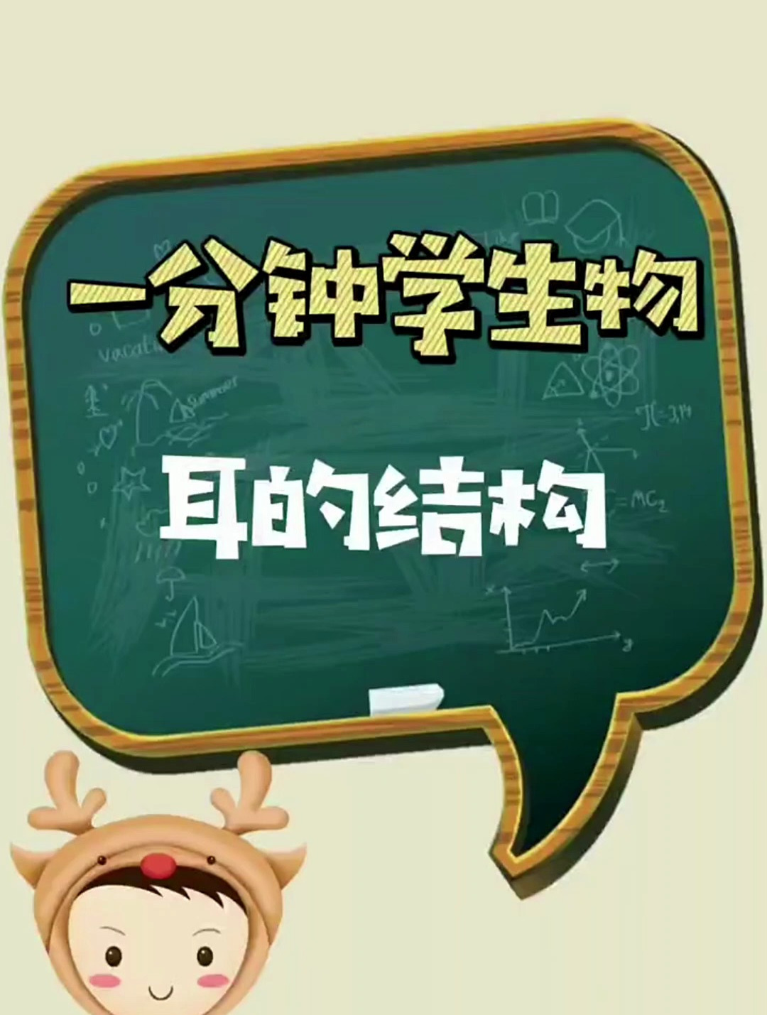 一分钟学生物之耳的结构