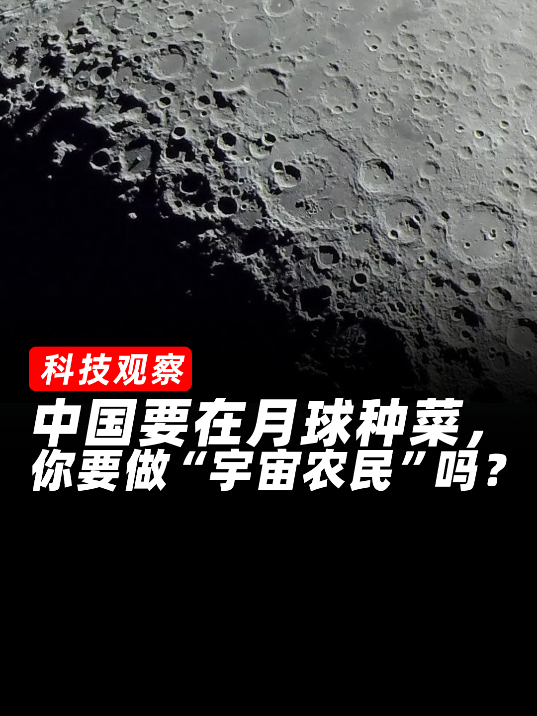 中国要在月球种菜,你要做“宇宙农民”吗?