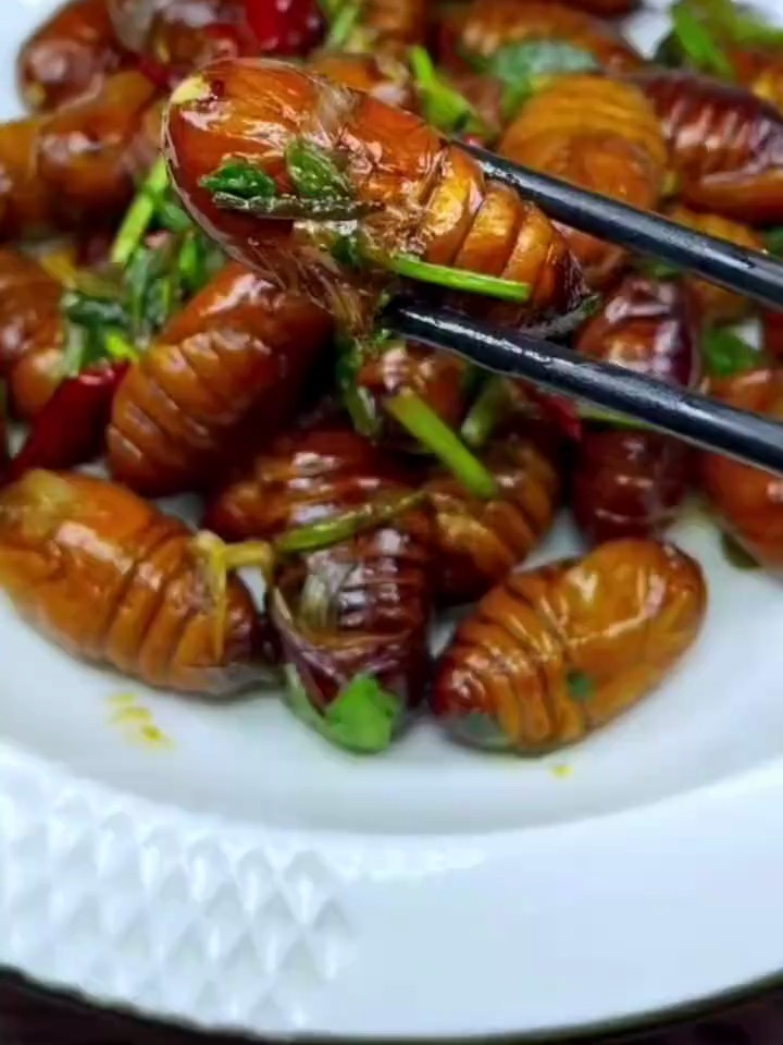 蚕蛹家常做法:大家一定要做这道菜,太有营养了