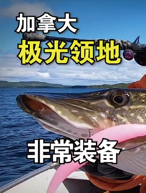猜猜去北极圈钓狗鱼要带什么装备?
