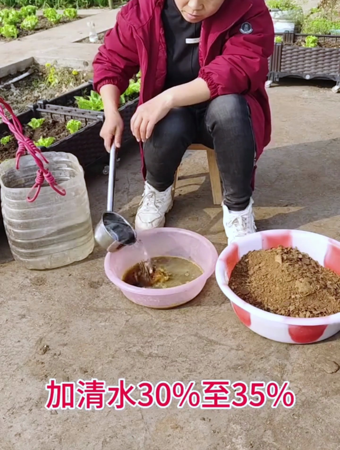 饼肥是肥效最好的有机肥,这样发酵菜籽饼,快速不臭肥效强